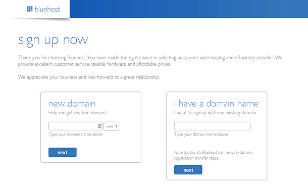 how to choose a domain name