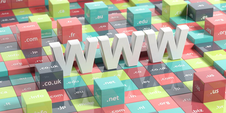 how to choose the perfect domain name for my business