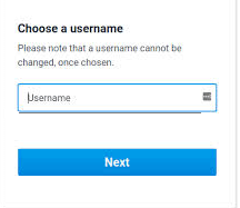 what-is-a-username