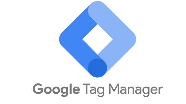 how to add google tag manager in my WordPress website1